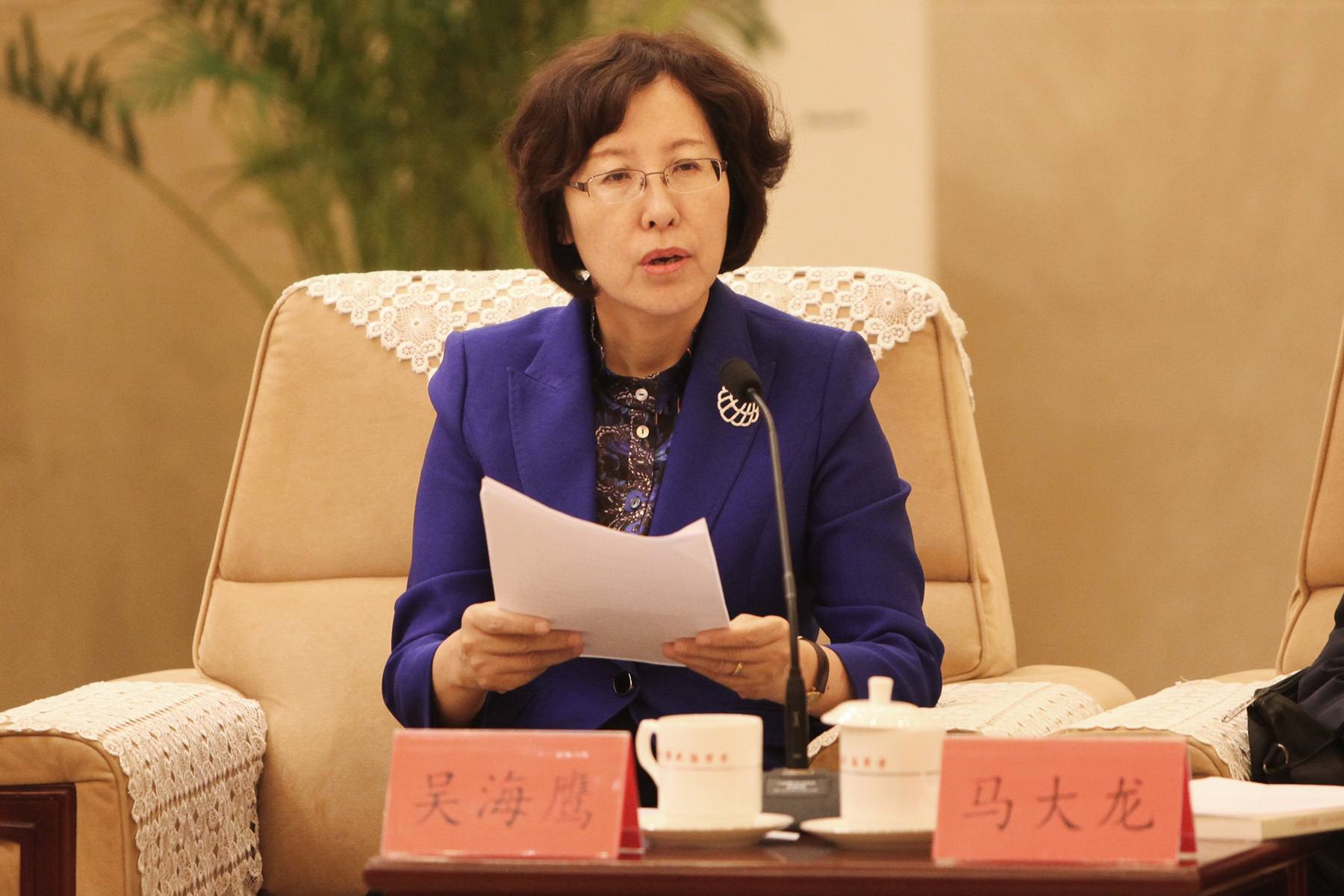 中國科協黨組成員、書記處書記吳海鷹發言