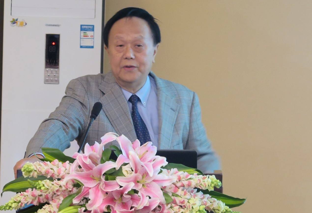 那彥群教授發言